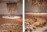 [NSP PHOTO]갤러리비오톱, 강술생 개인전 씨앗의 희망 통해 코로나 시대 생태미술 가능성 증명