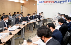 [NSP PHOTO]경북도, 북부지역 발전전략 마련 위한 11개 시·군 부단체장 회의 개최