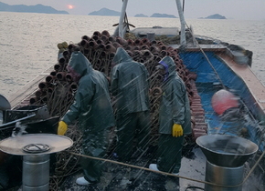 [NSP PHOTO]여수시, 참문어 산란·서식장 조성사업 50억 원 투입