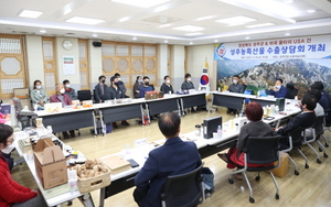 [NSP PHOTO]성주군, 美 울타리USA와 농특산물 수출상담회 개최