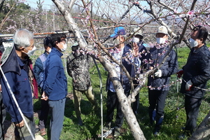 [NSP PHOTO]의성군, 신규농업인 대상 1:1 과외로 영농기술 전수