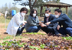 [NSP PHOTO]조청식 제1부시장, 코로나 확산방지 탑동시민농장 점검