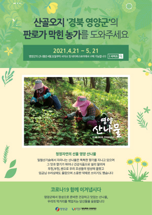 NSP통신-영양군은 오는 21일부터 내달 21일까지 제16회 영양산나물축제 온·오프라인 행사를 추진한다고 밝혔다. (영양군)