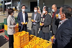 [NSP PHOTO]고흥군, 유자 면역력 증강 과학적 효능 입증 임상전(前)실험 공모사업 유치 확정