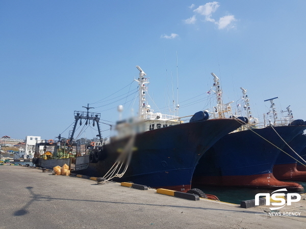NSP통신-포항해경이 오징어 불법 공조조업 한 60대 트롤어선 선장을 전국 최초로 구속했다. (포항해양경찰서)