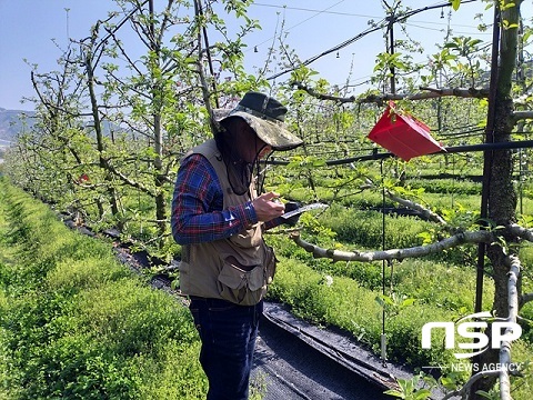 [NSP PHOTO]정읍시, 국가관리 병해충 예찰방제단 운영