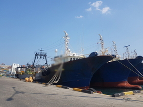 [NSP PHOTO]포항해경, 오징어 불법 공조조업 한 60대 트롤어선 선장 구속