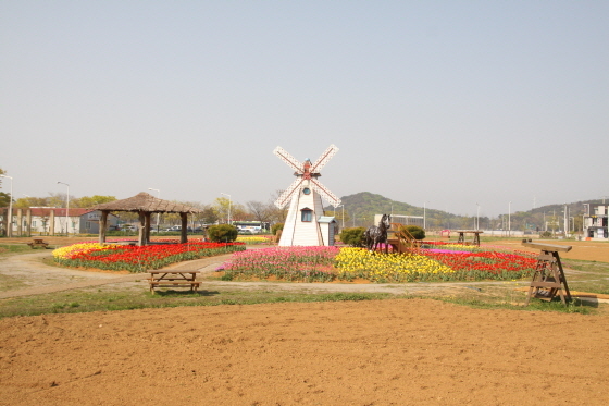 NSP통신-안산시가 대부해양본부 청사 주변 유휴지에 조성한 힐링꽃밭 산책로. (안산시)