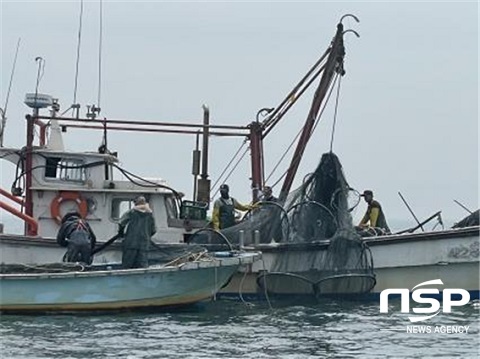 [NSP PHOTO]군산시, 도 경계 넘는 외지 불법어업 뿌리 뽑는다