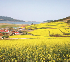 [NSP PHOTO]전남도, 어린이날·어버이날 등 맞춤형 가족 관광지 63선 소개