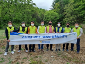 [NSP PHOTO]NH농협리츠운용 대표이사 비롯 임직원 영농철 농가 일손도와