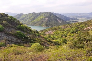 [NSP PHOTO]순천국유림관리소, 보성 오봉산 국가산림문화자산 지정 추진