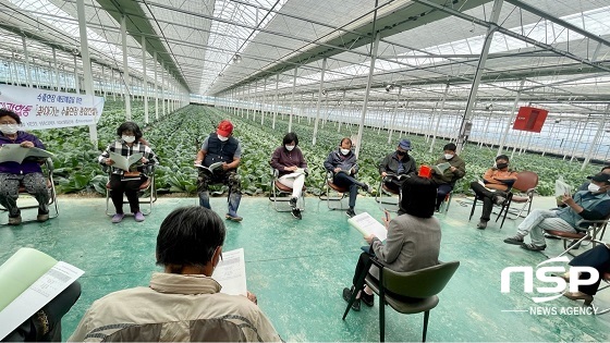 [NSP PHOTO]군산시, 꼬꼬마양배추 재배 유관기관 합동 컨설팅