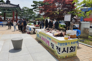 [NSP PHOTO]영양군, 영양만들기 프로젝트 I 주민과 함께 나누는 작품전시회 개최