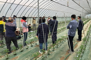 [NSP PHOTO]보성군, 농업현장에 신기술 접목 전문 컨설팅 추진