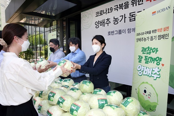 NSP통신-호반그룹 임직원 양배추 나눔 행사 사진 (호반)