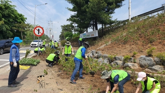 NSP통신-14일 도시숲 만들기 참여자들이 철쭉류 관목을 식재하고 있다. (수원시)