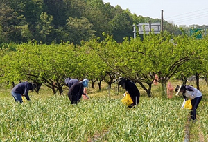 [NSP PHOTO]영천시, 최초 농작업용 얼음조끼 지원 사업 추진