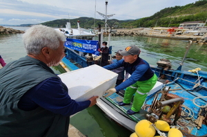 [NSP PHOTO]영덕군, 전복·해삼 등 수산종자 61만미 방류