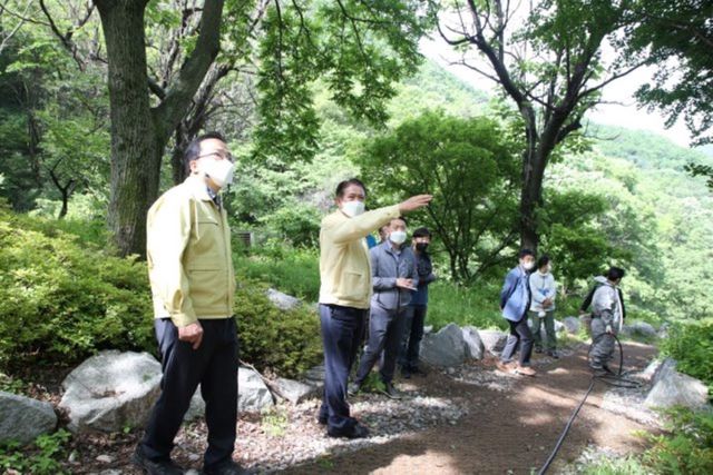 NSP통신-방제작업 중인 병목안 자연학습장과 등산로일대를 둘러보는 최대호 시장.(왼쪽 두번째) (안양시)