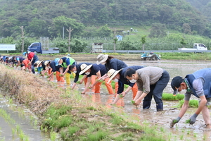 [NSP PHOTO]청송군 농민회,  풍년기원제 및 통일쌀 손모내기 행사 개최