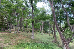 [NSP PHOTO]구례군, 봉성산 미세먼지 차단 숲 조성 완료