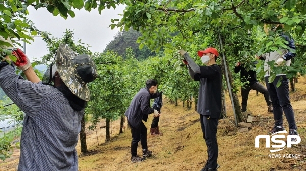 NSP통신-봉화군 봉성면사무소는 31일 본격적인 영농철을 맞아 봉화군청 주민복지실 및 유통특작과 직원 등 20여 명과 함께 농촌 일손 돕기에 나섰다. (봉화군)