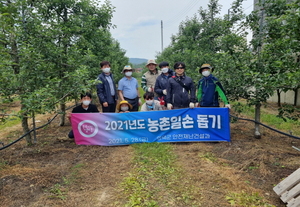 [NSP PHOTO]영덕군 안전재난건설과, 농촌일손돕기에 구슬땀