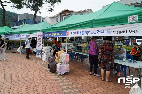 NSP통신-지난 2일은 순천시 조례호수공원에서 반려문화 홍보의 날 행사를 개최하고 홍보 및 유기동물 발생예방 활동등 보호 시설을 늘리는 것보다 인식 전환과 홍보로 동물 유기를 사전에 예방하자는 취지로 다채로운 행사가 열렸다 (구정준 기자)