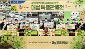 [NSP PHOTO]농협·CJ제일제당·순천농협, 매실 소비촉진 상생마케팅 진행