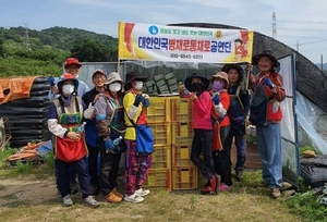 [NSP PHOTO]대한민국병채로통채로공연단, 매실수확  일손돕기