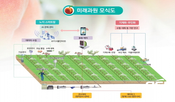 NSP통신-경상북도농업기술원은 미래 대응 농업기술의 핵심 전략으로 청도복숭아연구소에 미래형 스마트 노지과원을 구축할 계획이다. (경상북도)