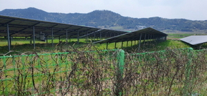 [NSP PHOTO]함평군 한 태양광 전기사업, 준공 없이 생산 논란