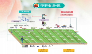 [NSP PHOTO]경북농업기술원, 미래형 복숭아 스마트 노지과원 조성