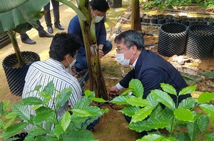 [NSP PHOTO]전남농협, 신소득 아열대 농산물 재배농가 현장경영