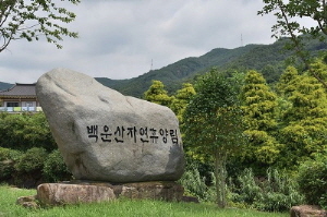 [NSP PHOTO]광양시, 백운산자연휴양림 지역민 우선예약제