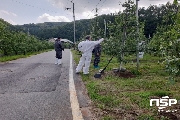 NSP통신-봉화군은 과수 화상병 확산 방지를 위한 과수 화상병 사전방제조치 이행 행정명령을 발령했다고 밝혔다. (봉화군)