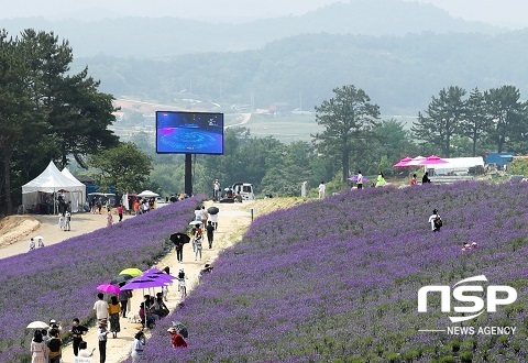 [NSP PHOTO]정읍시, 정읍허브원 인근에 대형 전광판 설치