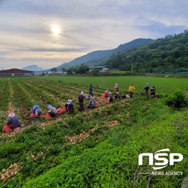 [NSP PHOTO]완주군, 일손부족 농가 농업인력지원 풀가동