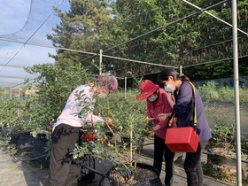 [NSP PHOTO]강진군,  지역대표 관광 프로그램 강진 푸소체험 인기몰이