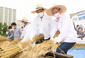 [NSP PHOTO]오산시, 사라져가는 보리수확 체험 행사 실시