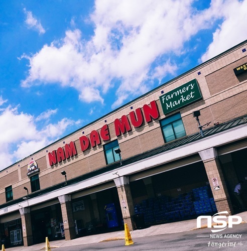 NSP통신- (강진군)