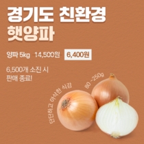 [NSP PHOTO]경기도, 친환경 햇양파 카카오톡 최대 56% 할인가 특판