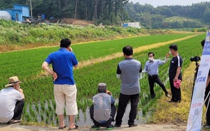 [NSP PHOTO]보령시, 여름철 이동 농업기술센터 운영