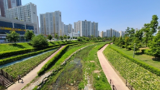 NSP통신-가마지천 산책로 걷고 싶은 꽃길 조성 모습. (김포시)