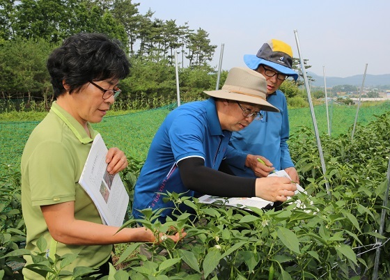 NSP통신-▲태안군이 관내 90개 마을을 대상으로 여름철 현장영농교육에 나선다. (태안군)