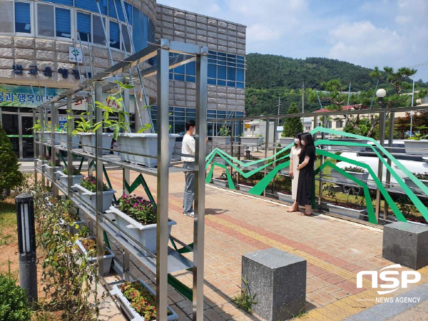 NSP통신- (보성군)