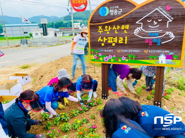 NSP통신-청송군이 지난 2019년부터 치매보듬마을 조성사업을 추진하며 치매 친화적 환경 조성에 앞장서고 있다. 상평리 보듬꽃길 모습 (청송군)