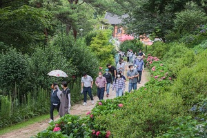 [NSP PHOTO]구례군, 숲속 피톤치드 가득 테마수국길 건강 걷기 성료