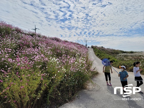 [NSP PHOTO]완주군, 걷기 좋은 길 27개 코스 발굴